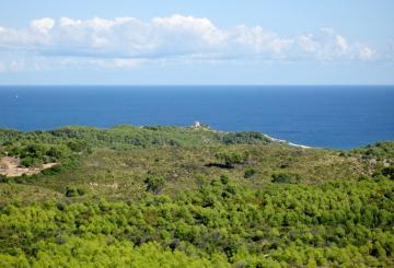 Der Naturpark „Parque Natural de la Península de Llevan...